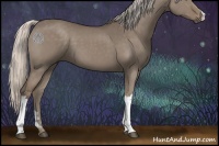 Horse Color:Silver Grullo 