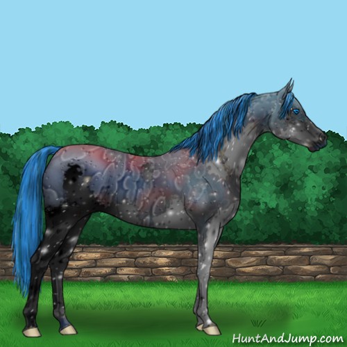 Horse Color:ERROR: UNKNOWN ANOMALY