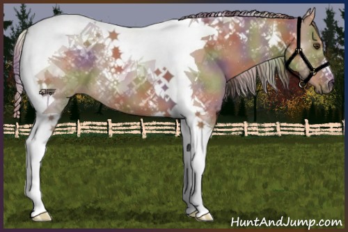 Horse Color:Nacre Liver Red Dun Tobiano 