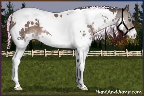 Horse Color:Painted White Spotted Silver Black Splash Tobiano 