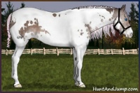 Horse Color:Painted White Spotted Silver Black Splash Tobiano 