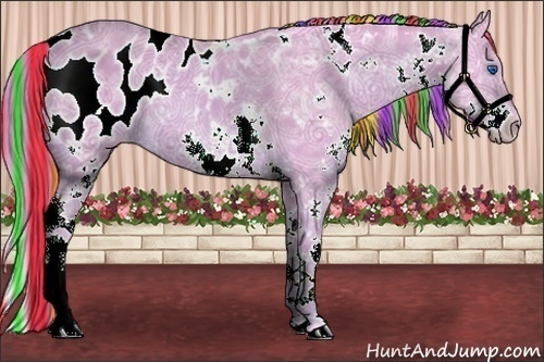 Horse Color:Painted Watercolor White Spotted Chestnut Ice Splash Appaloosa Rabicano 