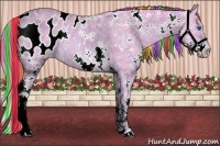 Horse Color:Painted Watercolor White Spotted Chestnut Ice Splash Appaloosa Rabicano 