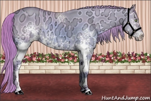 Horse Color:Watercolor White Spotted Gold Champagne Ice Dun Sabino Rabicano 