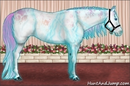 Horse Color:Thunderstruck Watercolor White Spotted Red Onyx Ice Sabino Splash Appaloosa 