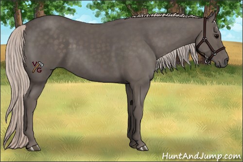 Horse Color:Silver Black 