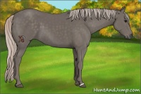 Horse Color:Silver Black 
