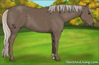 Horse Color:Silver Black 