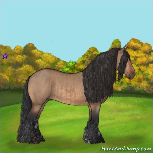 Horse Color:Brown Dun Rabicano  and Bay Dun Rabicano 