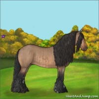 Horse Color:Brown Dun Rabicano  and Bay Dun Rabicano 