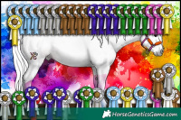 Horse Color:Gray Bay Splash Tobiano Rabicano