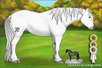 Horse Color:Gray Brown Dun Splash Tobiano 