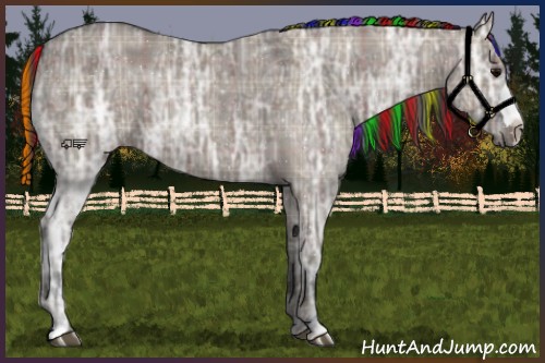 Horse Color:Painted Plaid  Grullo Ice 