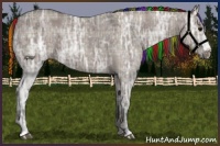 Horse Color:Painted Plaid  Grullo Ice 
