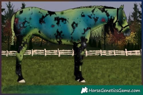 Horse Color:ERROR: UNKNOWN ANOMALY