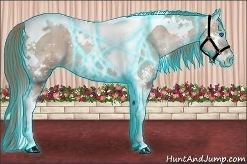 Horse Color:Thunderstruck Black Pearl Splash Tobiano 
