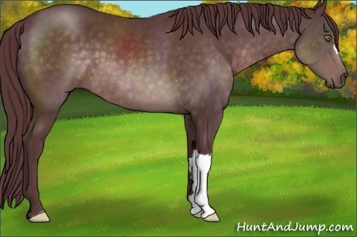 Horse Color:Platinum Chocolate Brown 