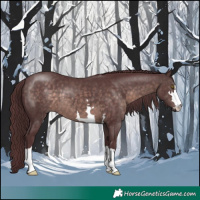 Horse Color:Platinum Chocolate Brown