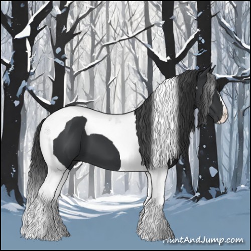 Horse Color:Black Tobiano