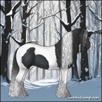Horse Color:Black Tobiano
