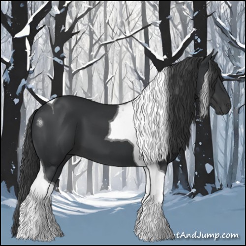 Horse Color:Black Tobiano 