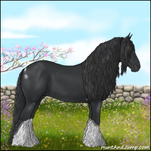 Horse Color:Black Tobiano 