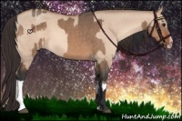 Horse Color:Bay Dun  and Amber Champagne Dun 