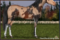 Horse Color:Brown Tobiano and Brown Dun