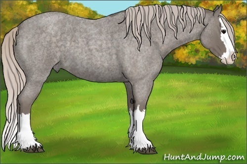 Horse Color:Silver Blue Roan Splash 