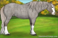 Horse Color:Silver Blue Roan Splash 