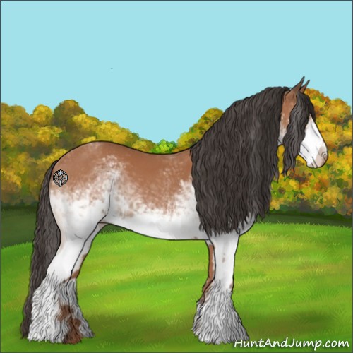 Horse Color:White Spotted Brown