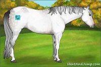 Horse Color:Gray Brown Tobiano Rabicano