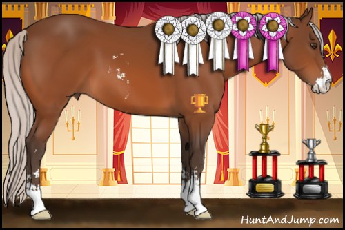Horse Color:Silver Brown Sabino 