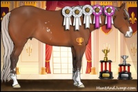 Horse Color:Silver Brown Sabino 