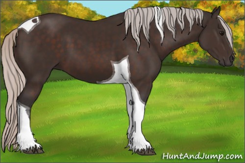 Horse Color:Silver Brown Tobiano 