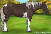 Horse Color:Silver Brown Tobiano 