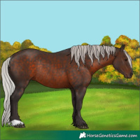 Horse Color:Silver Brown Rabicano 