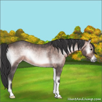 Horse Color:Platinum Brown Onyx