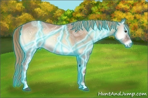 Horse Color:Thunderstruck Red Dun Ice Onyx