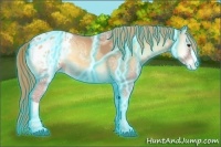 Horse Color:Thunderstruck Red Onyx Ice Appaloosa 