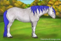 Horse Color:Watercolor Bay Ice Onyx 