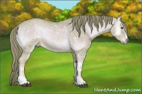 Horse Color:Watercolor Red Onyx Ice 