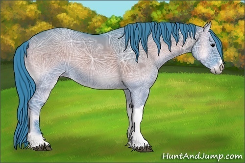 Horse Color:Watercolor Grullo Ice Onyx