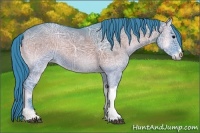 Horse Color:Watercolor Grullo Ice Onyx 