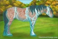Horse Color:Thunderstruck Bay Ice