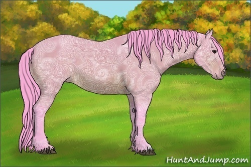 Horse Color:Watercolor Brown Ice