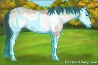 Horse Color:Thunderstruck Amber Champagne Ice Onyx Frame 