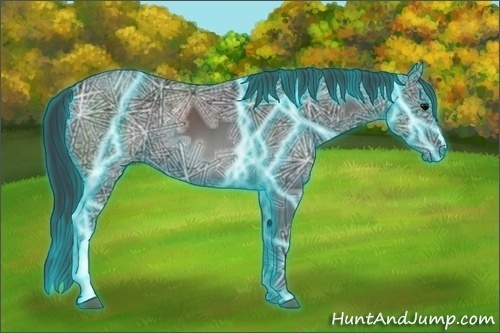 Horse Color:Thunderstruck Black Ice 