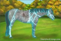 Horse Color:Thunderstruck Black Ice