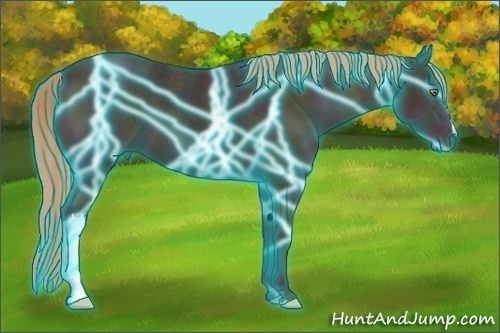 Horse Color:Thunderstruck Midnight Gold Champagne Ice 